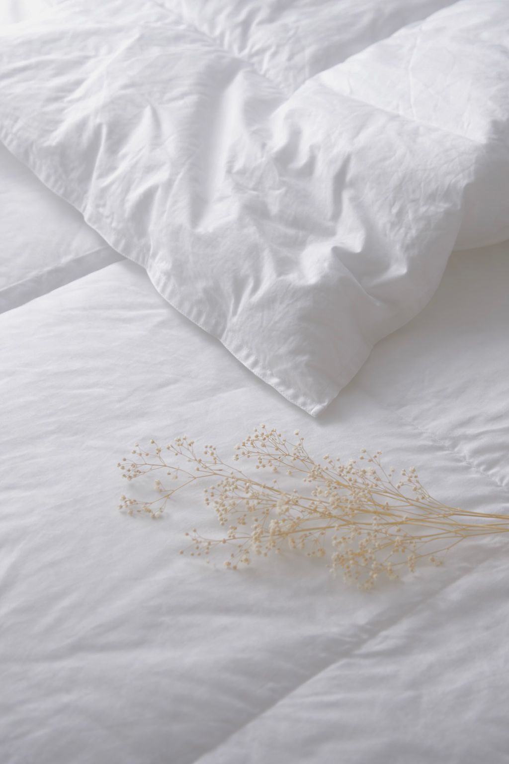 PLUMÓN DELGADO DE VERANO