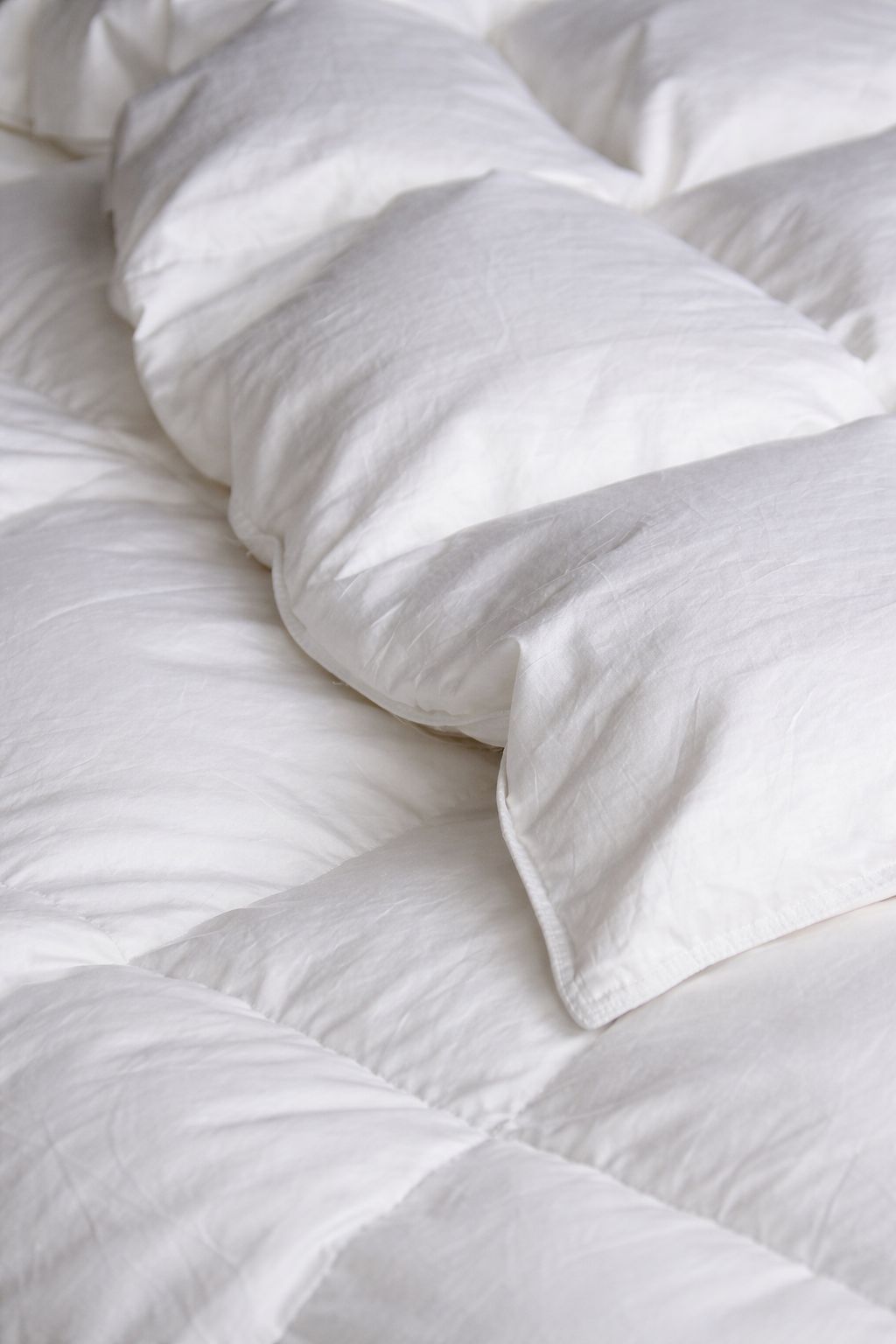 PLUMÓN DE PLUMAS DE GANSO